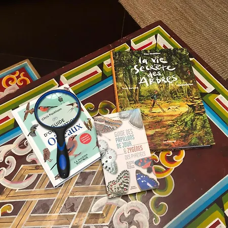 Yourte Les Hulottes En Comminges * Juzet-d'Izaut